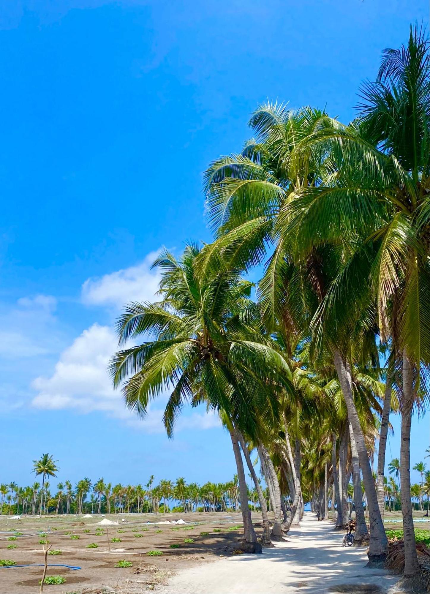 Sorenzo Maldives 图杜 外观 照片